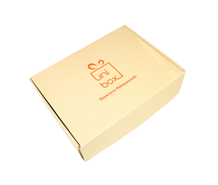 Sadə dizaynlı qutu