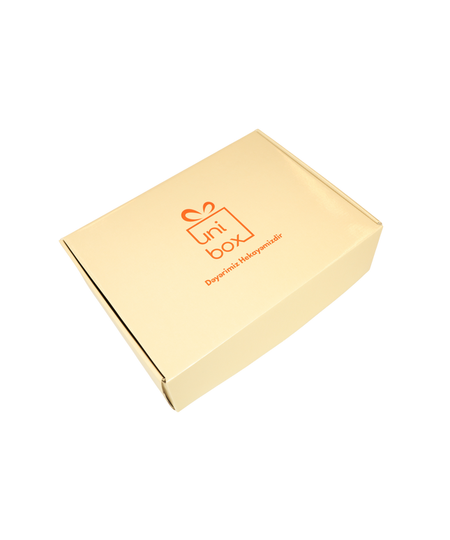 Sadə dizaynlı qutu