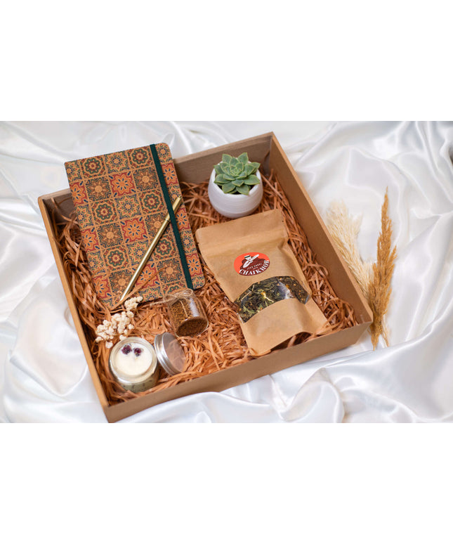 Korporativ Bundle